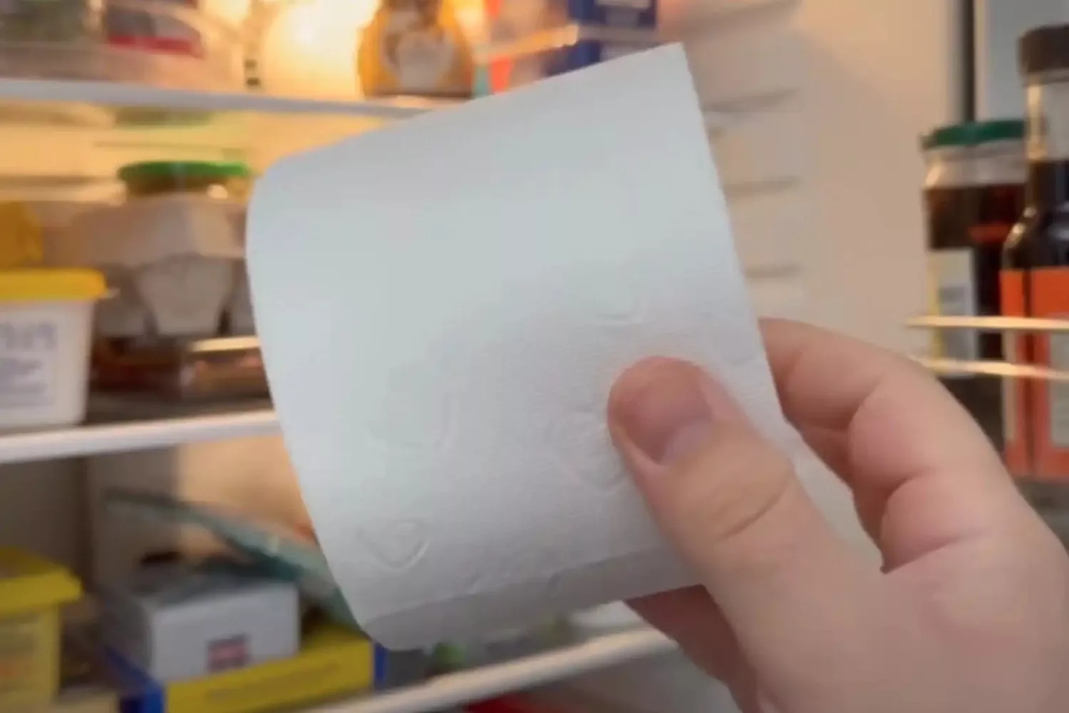 Un rollo de papel higiénico en la nevera / YOUTUBE