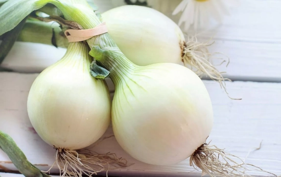 Cebolla, ideal para tu alergia/ PEXELS Cebolla, ideal para tu alergia/ PEXELS