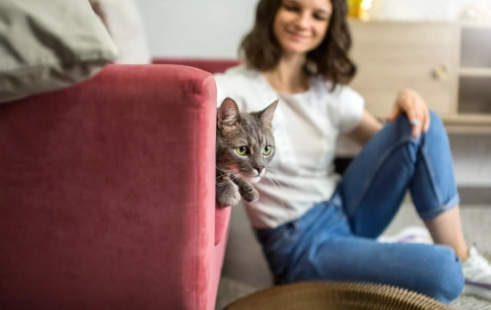 Una persona que vive sola con su gato / FREEPIK