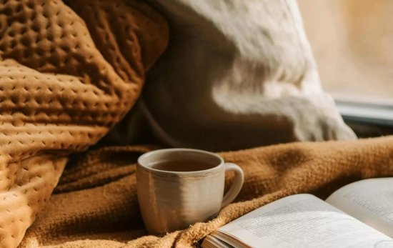 Un té reposando encima de una cama/ PEXELS Un té reposando encima de una cama/ PEXELS