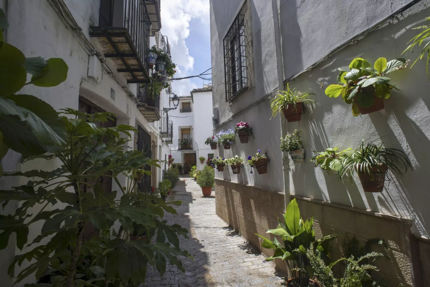 Una calle en Jaén, una de las ciudades más baratas de España para vivir / José Manuel Pedrosa - EFE