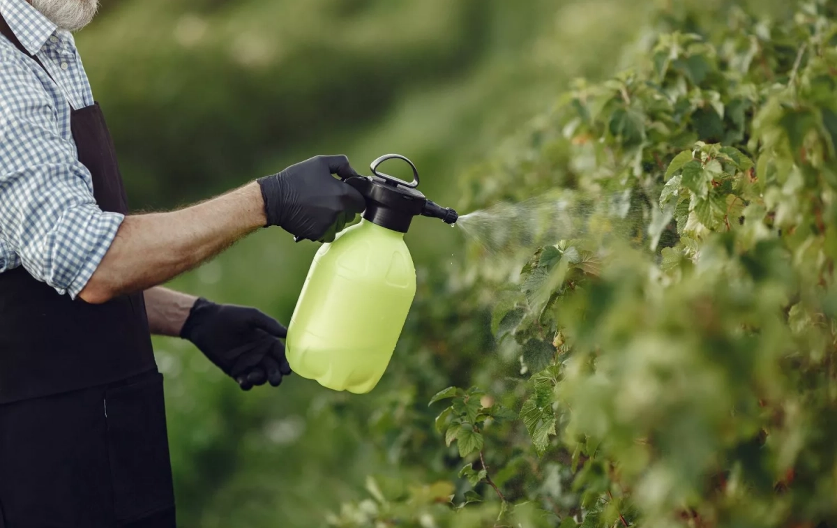 Un agricultor aplica un producto a sus plantaciones / FREEPIK - prostooleh Un agricultor aplica un producto a sus plantaciones / FREEPIK - prostooleh