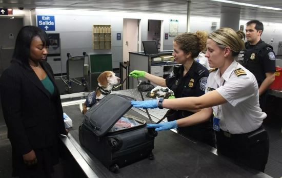 Un profesional en un control del aeropuerto revisa qué lleva un viajero en su equipaje de mano / UNSPLASH Un profesional en un control del aeropuerto revisa qué lleva un viajero en su equipaje de mano / UNSPLASH