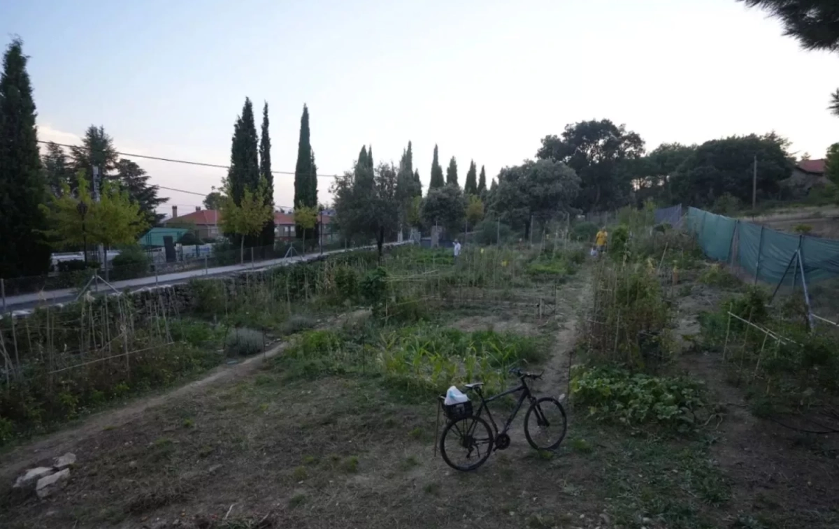 Huerto de Manuela / EL BENEFICIO