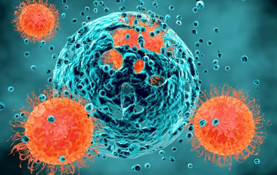Células de cáncer que se multiplican y se puede detectar de forma temprana / QUIRÓNSALUD Células de cáncer que se multiplican y se puede detectar de forma temprana / QUIRÓNSALUD