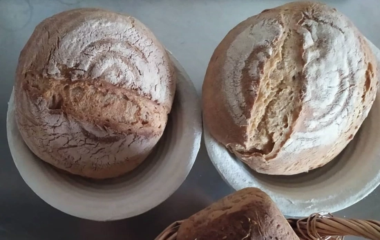 Pan sin gluten / EL TRASMOZERO Pan sin gluten / EL TRASMOZERO