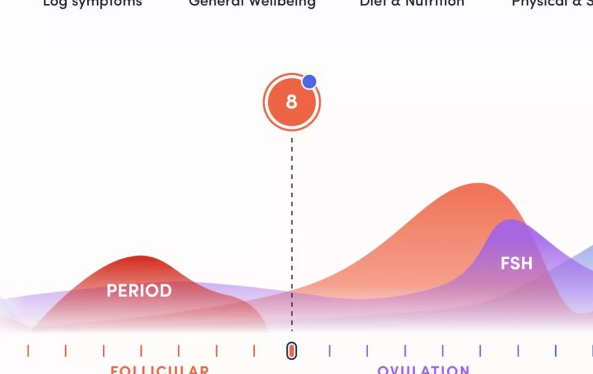El día del ciclo menstrual en el que me encuentro El día del ciclo menstrual en el que me encuentro