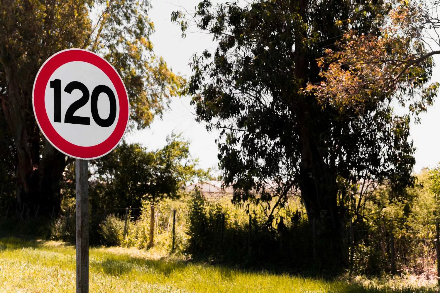 Una señal de tráfico que limita la velocidad a 120 kilómetros por hora / FREEPIK
