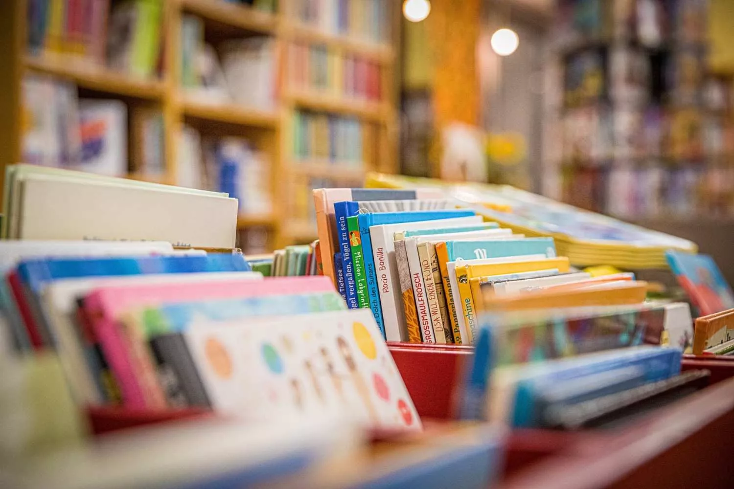 Varios libros en una biblioteca / PIXABAY