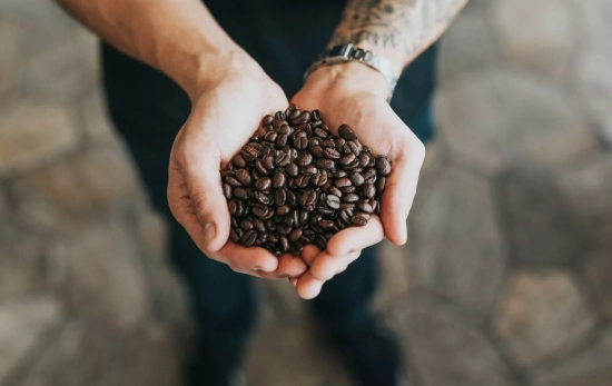 Granos de café / UNSPLASH Granos de café / UNSPLASH