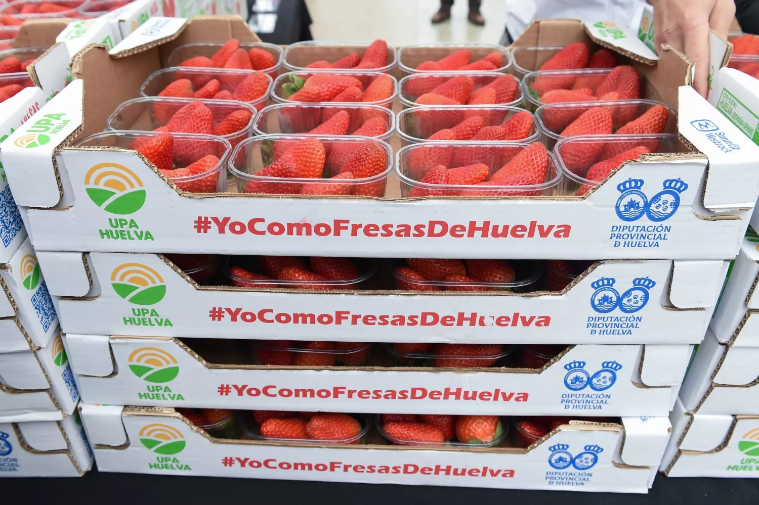 Varias cajas con fresas durante el reparto de tarrinas de fresa / Gustavo Valiente - EP