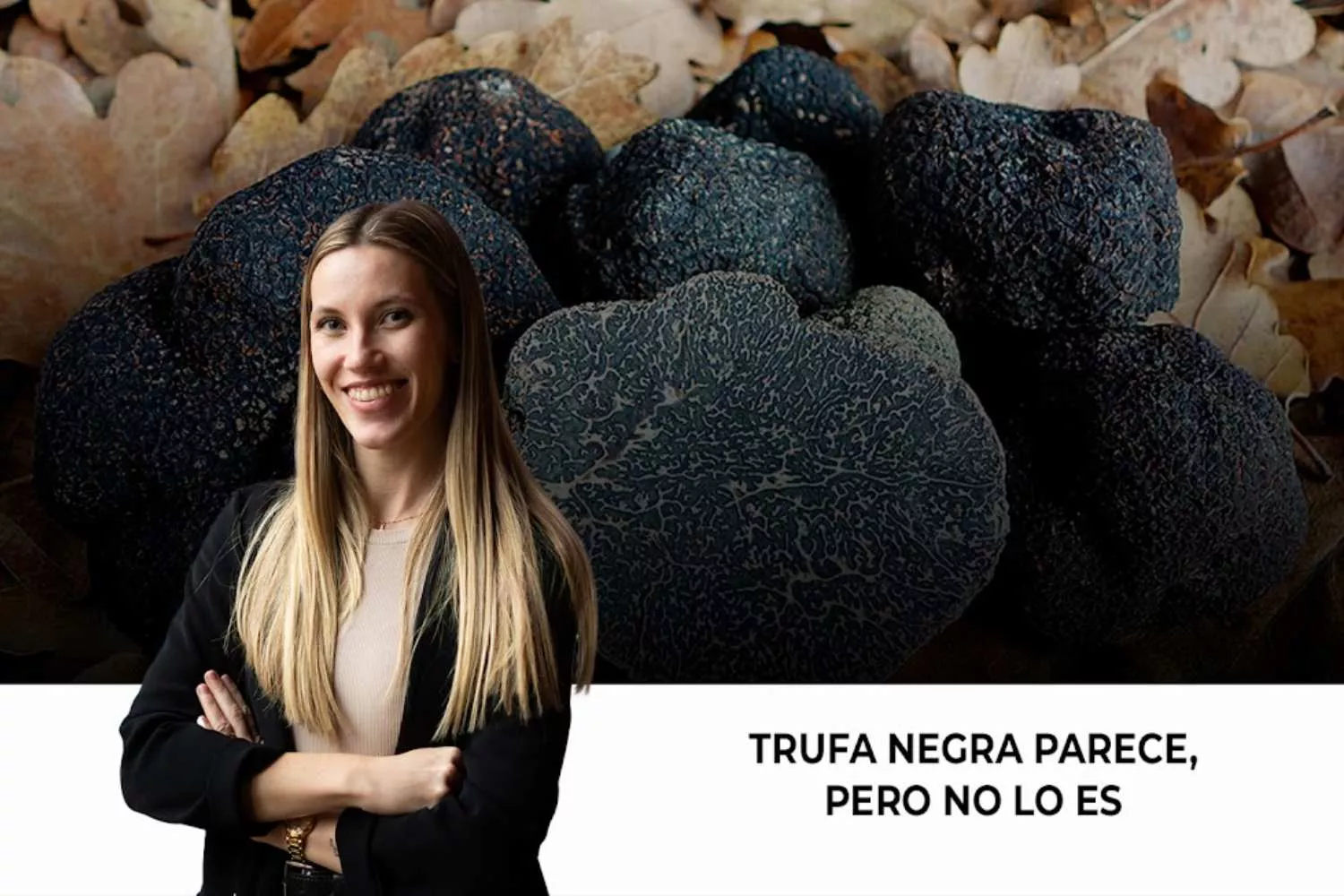 Videoblog sobre la trufa negra / Fotomontaje CONSUMIDOR GLOBAL