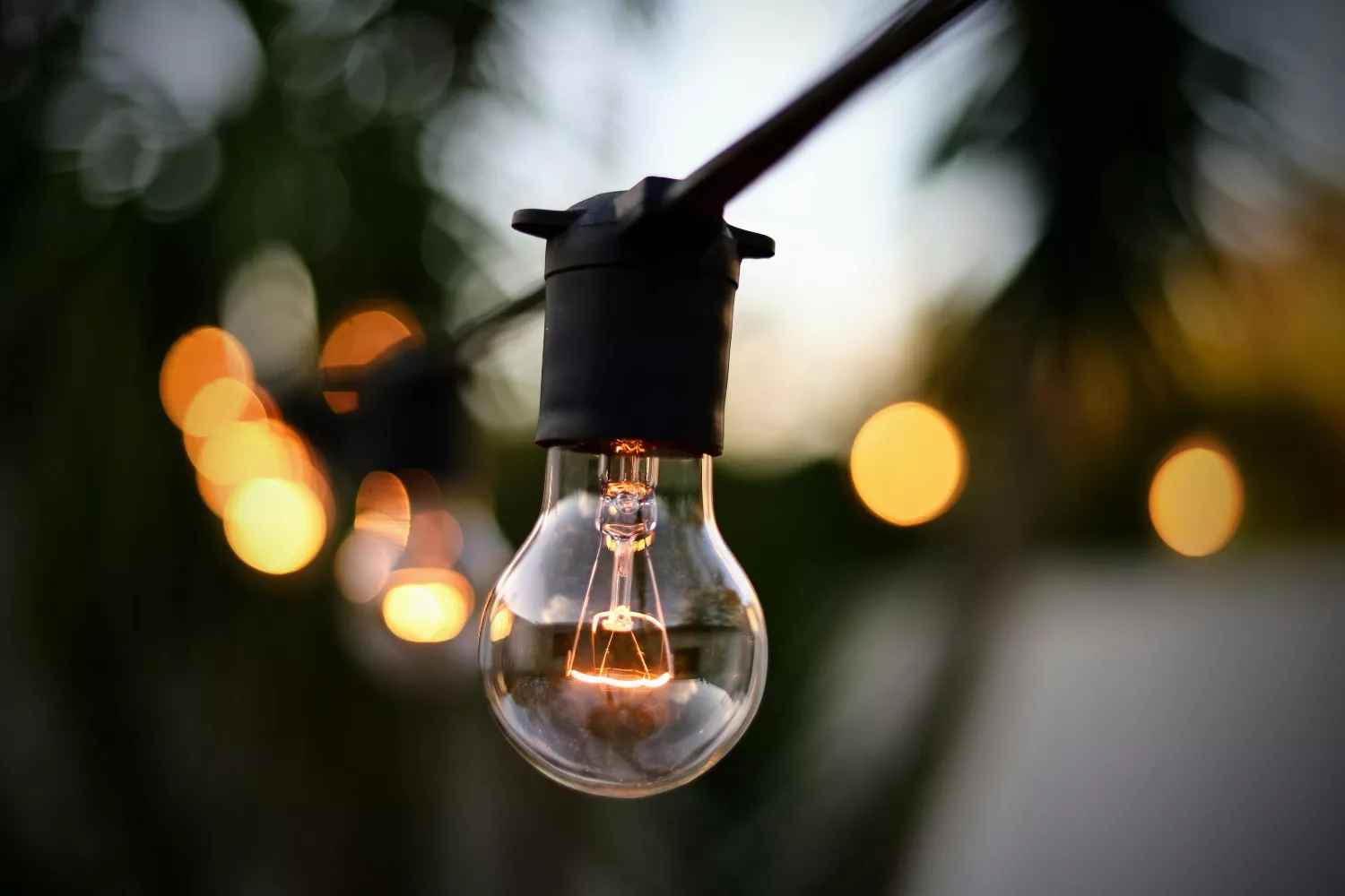 Una bombilla emite luz (3)