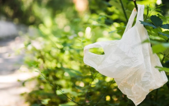 Una bolsa de plástico / FREEPIK Una bolsa de plástico / FREEPIK