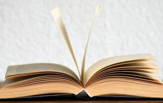 Un libro abierto/ PEXELS Un libro abierto/ PEXELS
