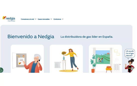 Aspecto de la web de Nedgia / CG Aspecto de la web de Nedgia / CG