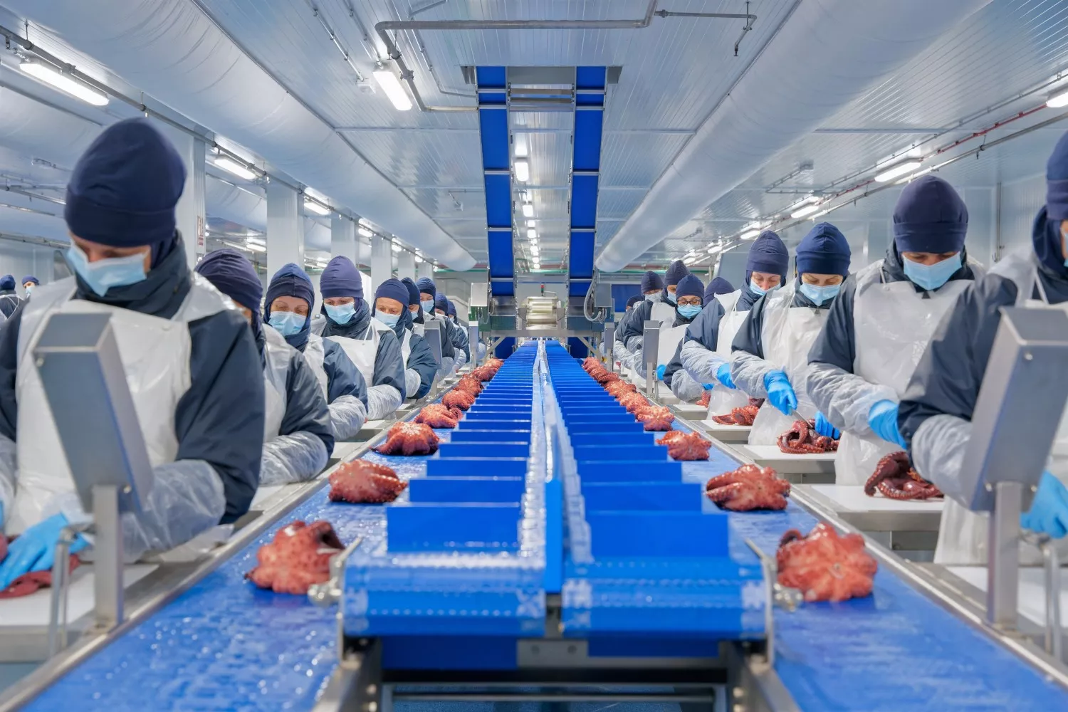 Imagen de una factoría de Profand, el proveedor de pescado de Mercadona / EP
