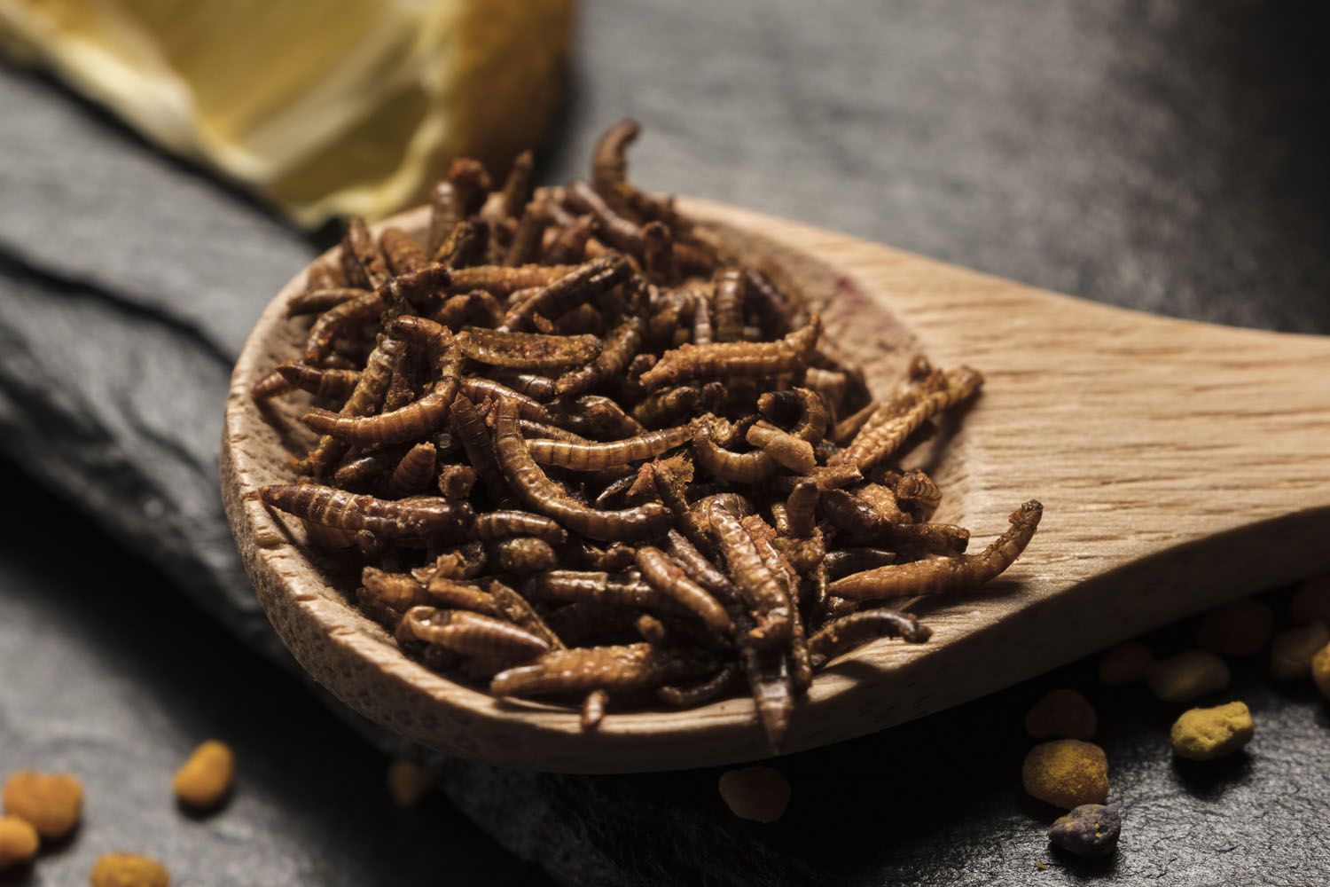 Una cuchara de madera con insectos asados / FREEPIK