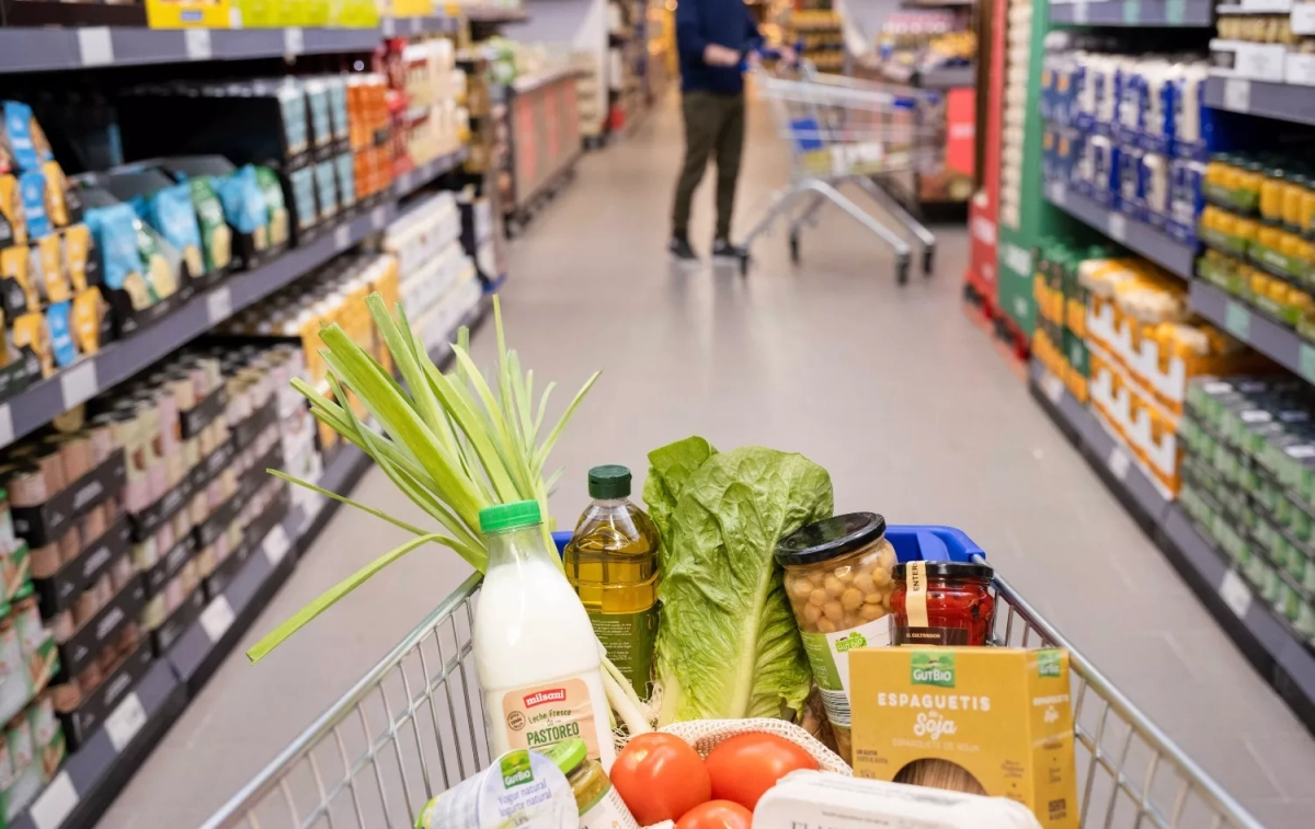 La cesta de la compra en Aldi CEDIDA La cesta de la compra en Aldi CEDIDA