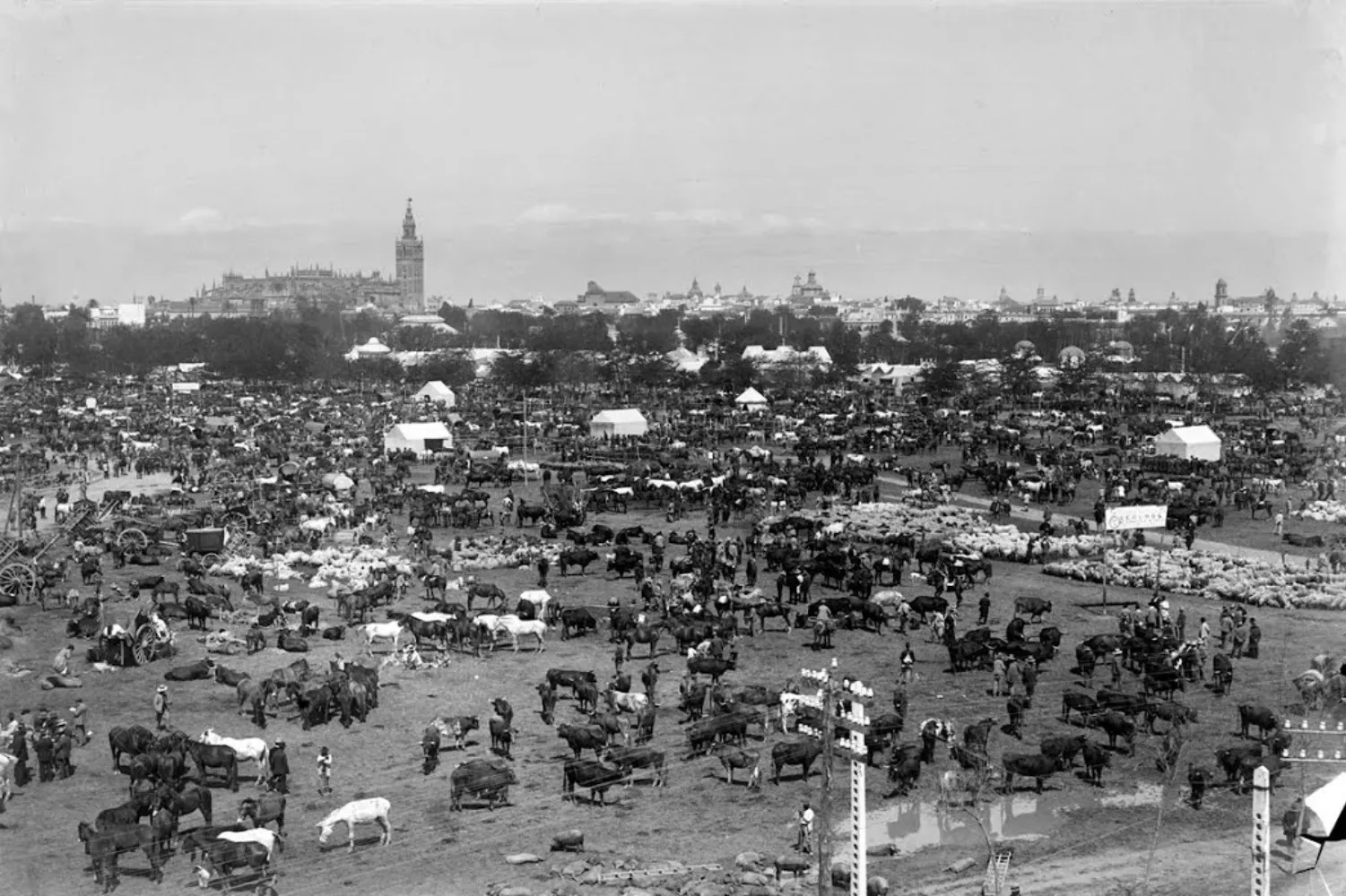 La Feria de Abril, como feria de ganado, en sus inicios / FOTOTECA MUNICIPAL DE SEVILLA