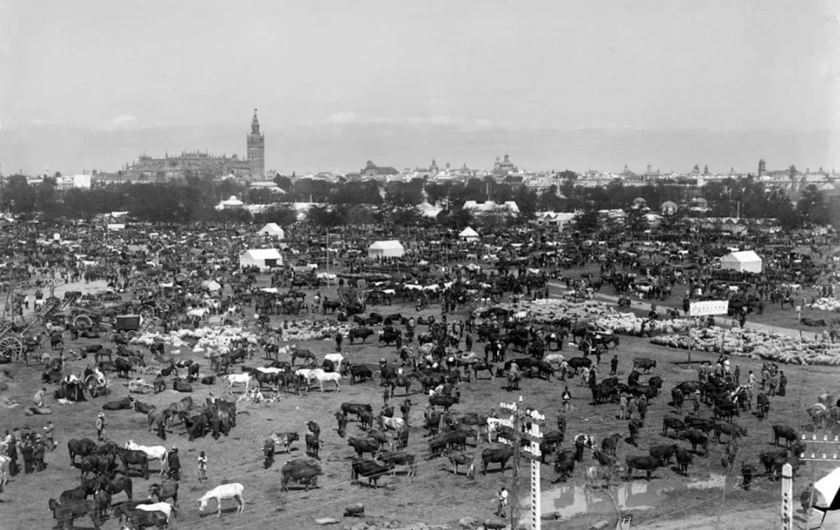 La Feria de Abril, como feria de ganado, en sus inicios / FOTOTECA MUNICIPAL DE SEVILLA La Feria de Abril, como feria de ganado, en sus inicios / FOTOTECA MUNICIPAL DE SEVILLA