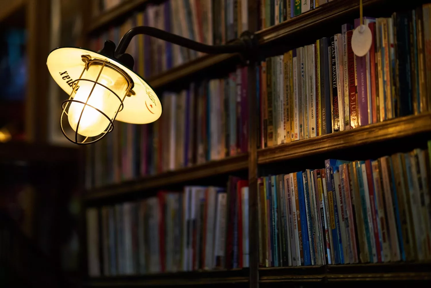 Una bombilla emite luz en una biblioteca / PIXABAY