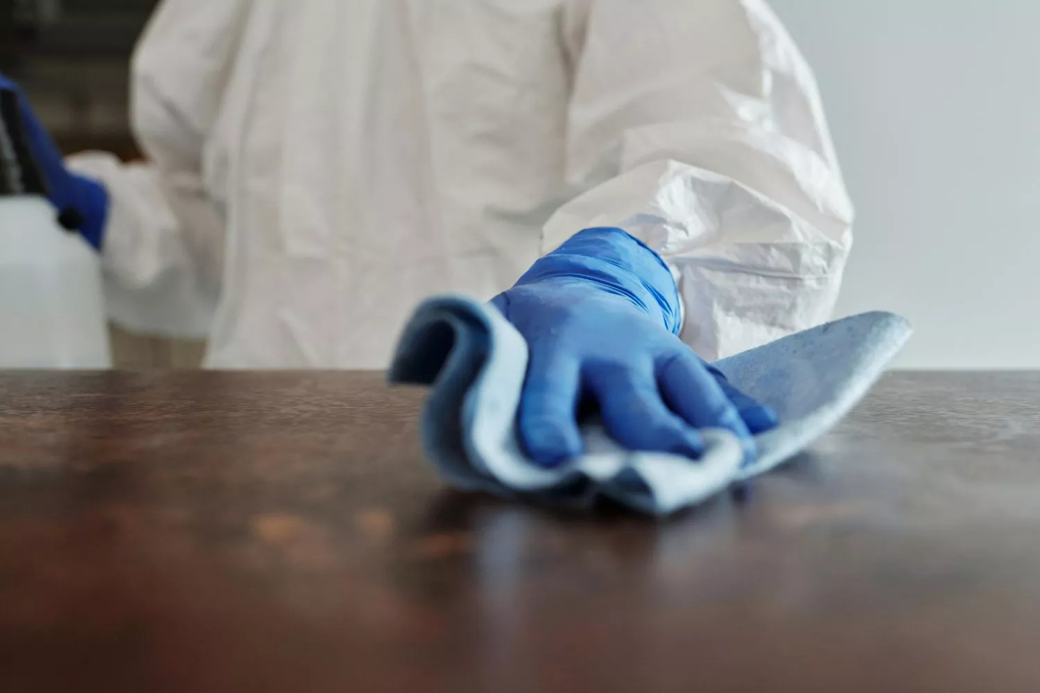 Ni lejía ni bicarbonato: el ingrediente de cocina que limpia tu microondas sin esfuerzo/ PEXELS