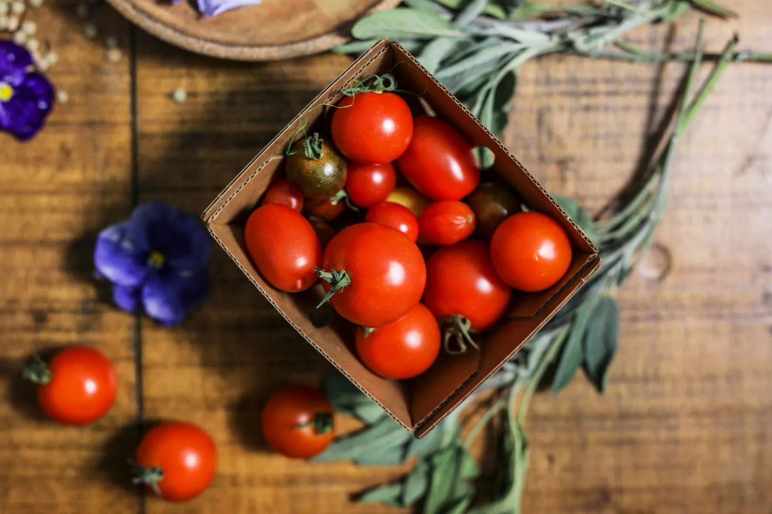 Tomates cherry Tomates cherry
