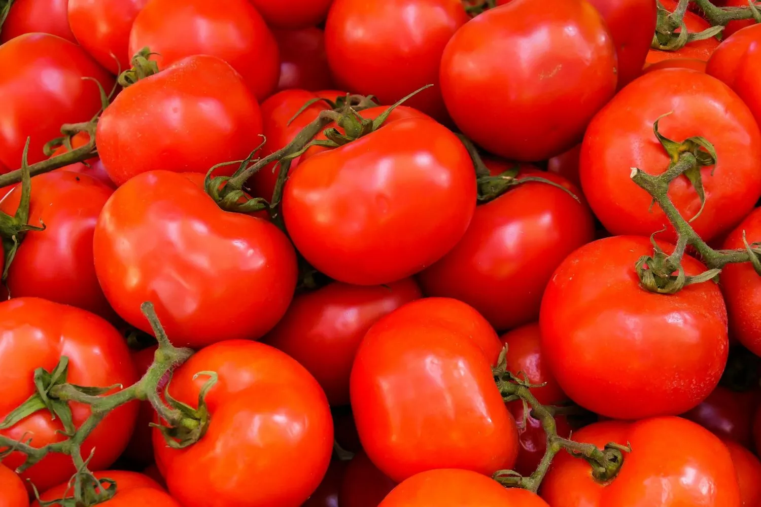 El truco definitivo para conseguir la mejor cosecha de tomates: más fuertes y con mejores frutos/ PEXELS