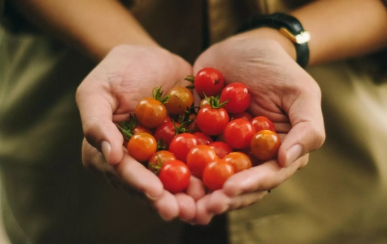 Una persona sosteniendo tomates entre las manos/ PEXELS Una persona sosteniendo tomates entre las manos/ PEXELS