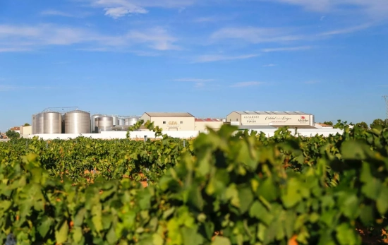 Instalaciones de Bodegas Alcardet / CEDIDA Instalaciones de Bodegas Alcardet / CEDIDA