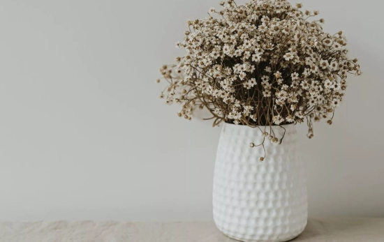 Las flores son un elemento esencial en el hogar cálido de María Pombo/ PEXELS Las flores son un elemento esencial en el hogar cálido de María Pombo/ PEXELS