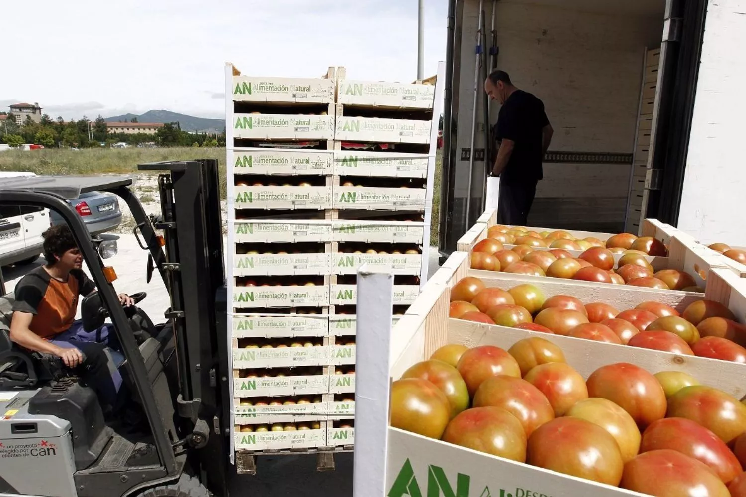 Palés de un camión con tomates, una de las frutas y verduras marroquíes que triunfa en España / Jesús Diges - EFE