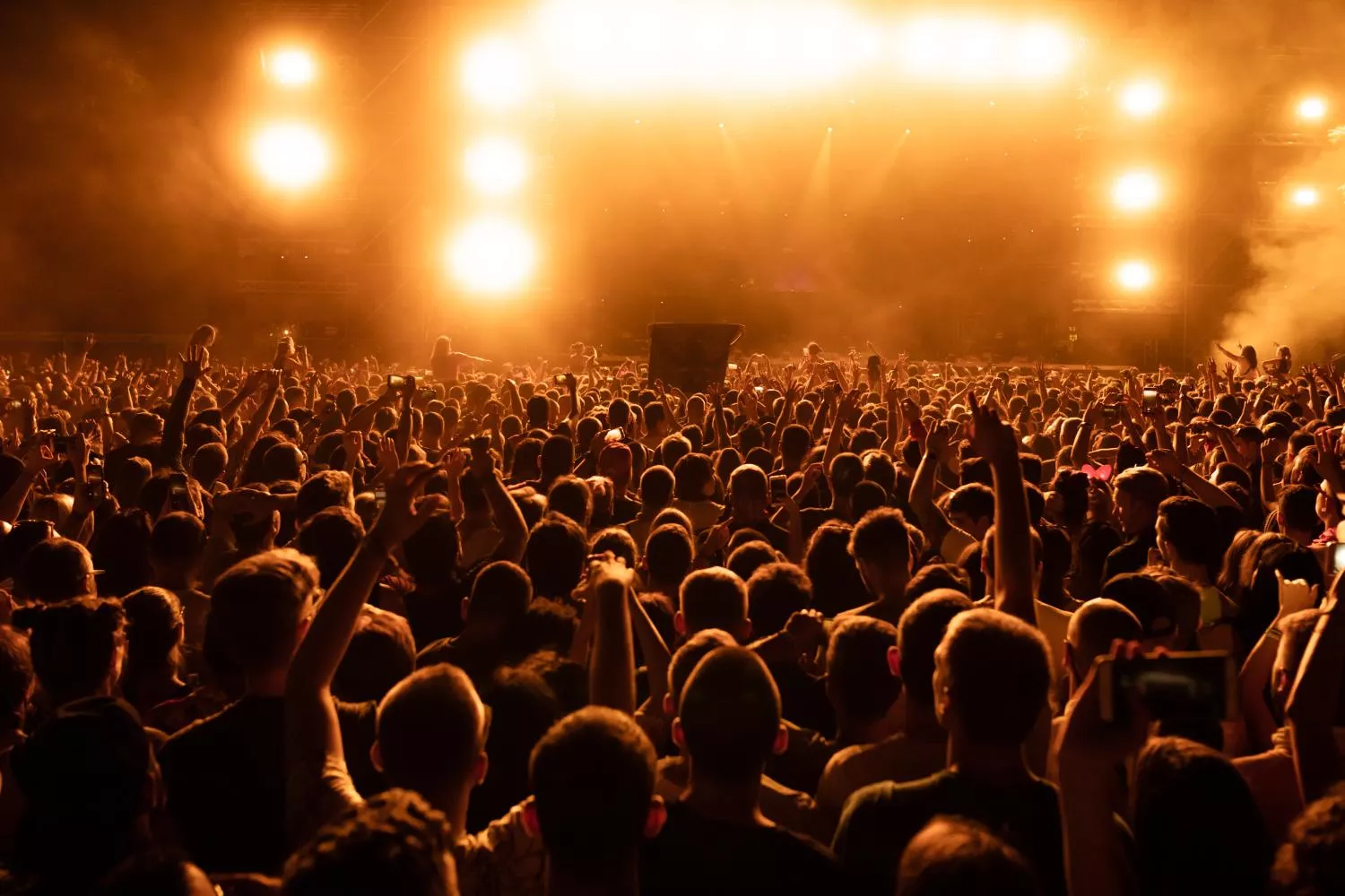 Varias personas en un concierto