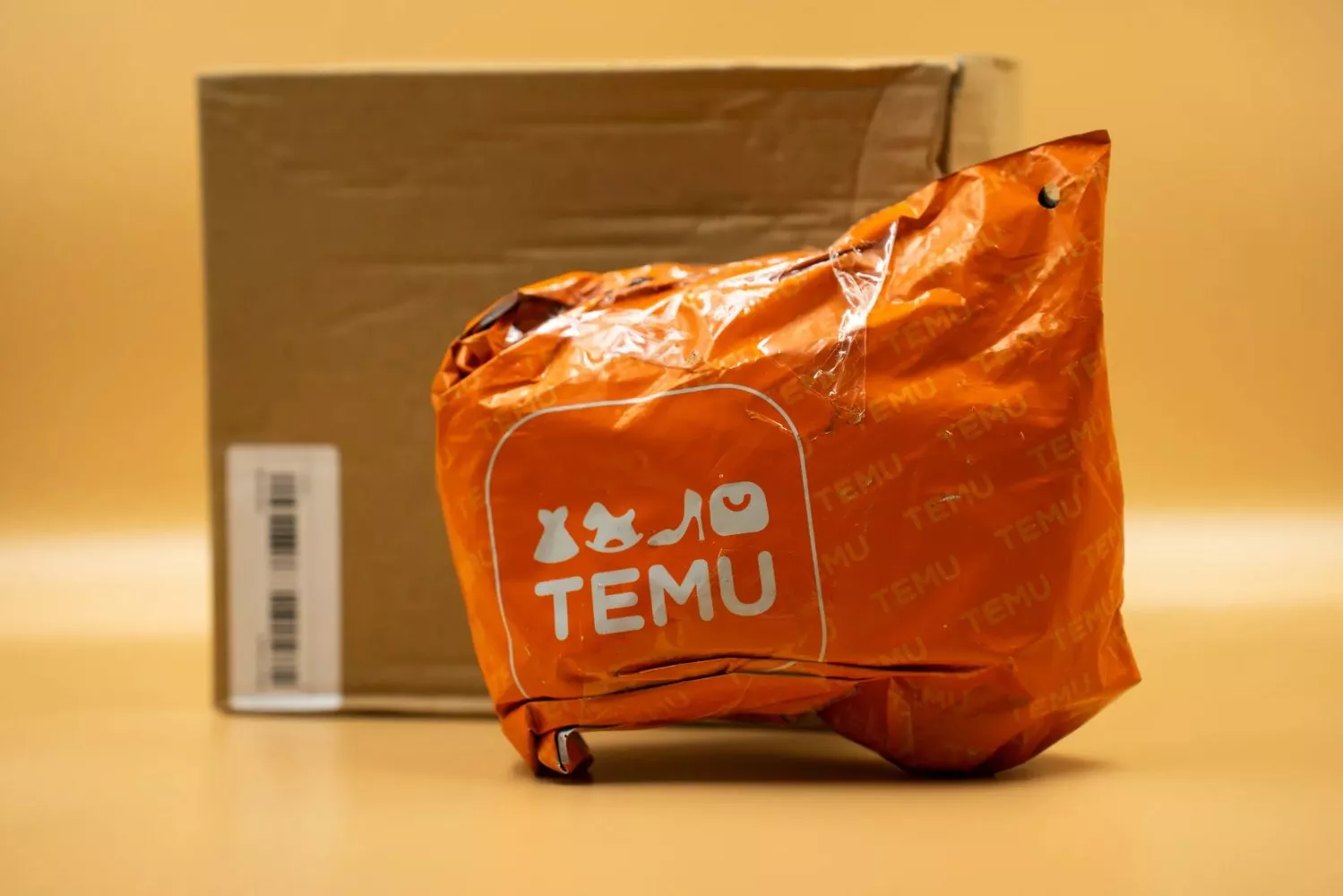 Un paquete de Temu   EFE