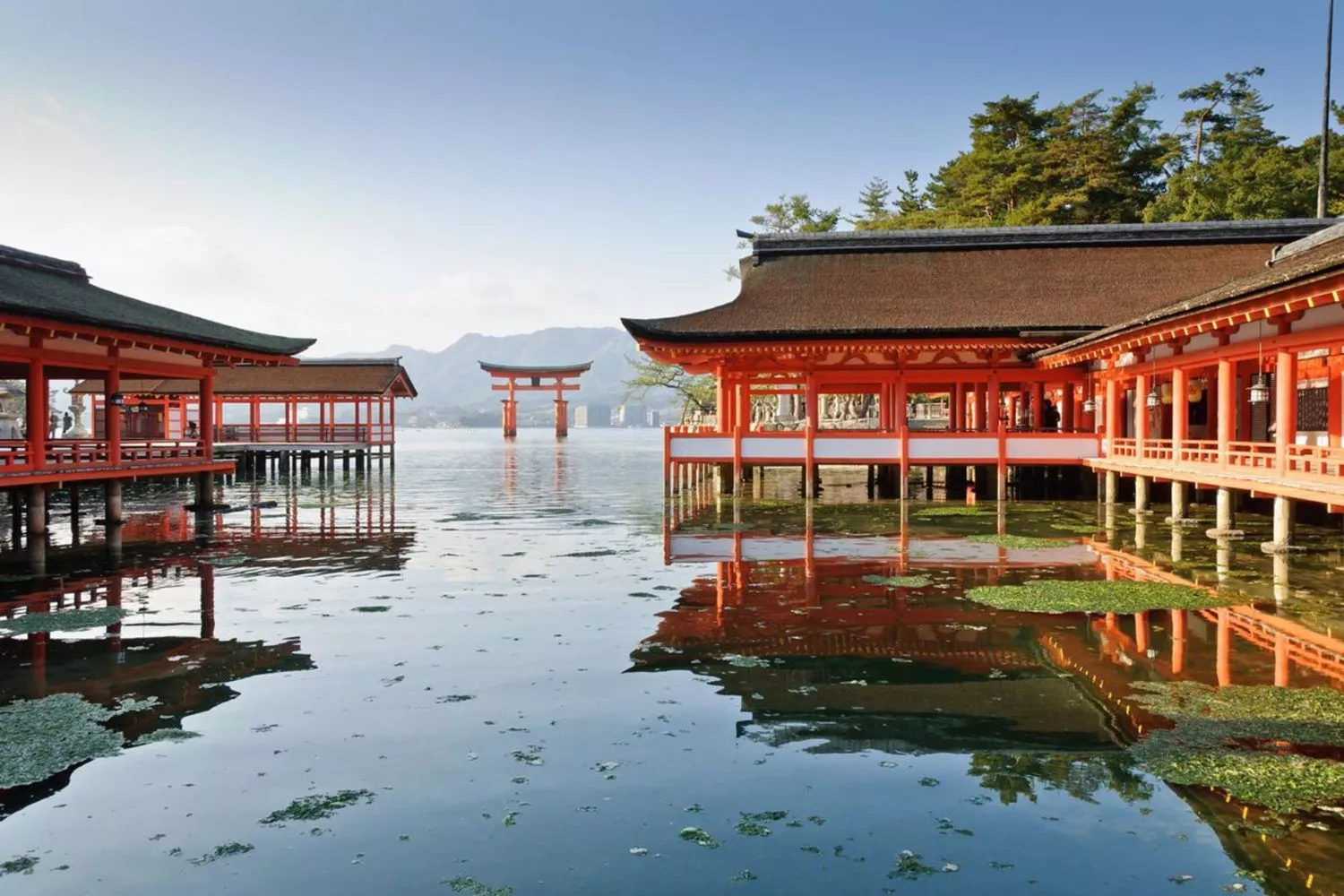 Japón, uno de los destinos estrella de 2025: esta es la mejor época para ir / KAYAK - EP