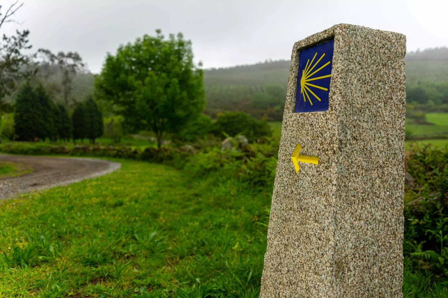 Una señal en algún punto del Camino de Santiago / PEXELS