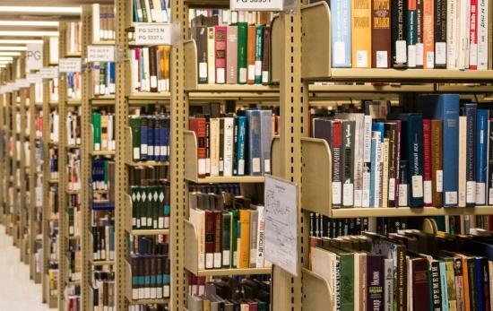 Estantes de una biblioteca / UNSPLASH Estantes de una biblioteca / UNSPLASH