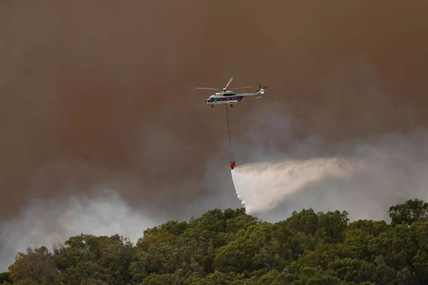 Incendio  forestal declarado en el paraje de La Peña, en Tarifa (Cádiz) / EFE