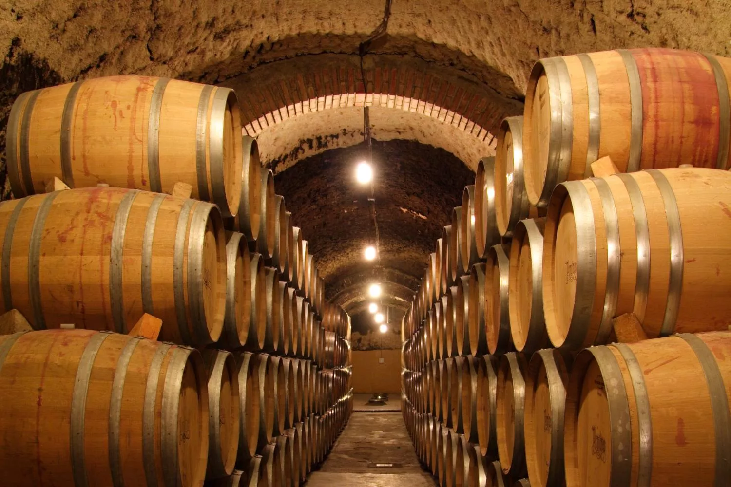 Barricas de Bodegas Protos / BODEGAS PROTOS