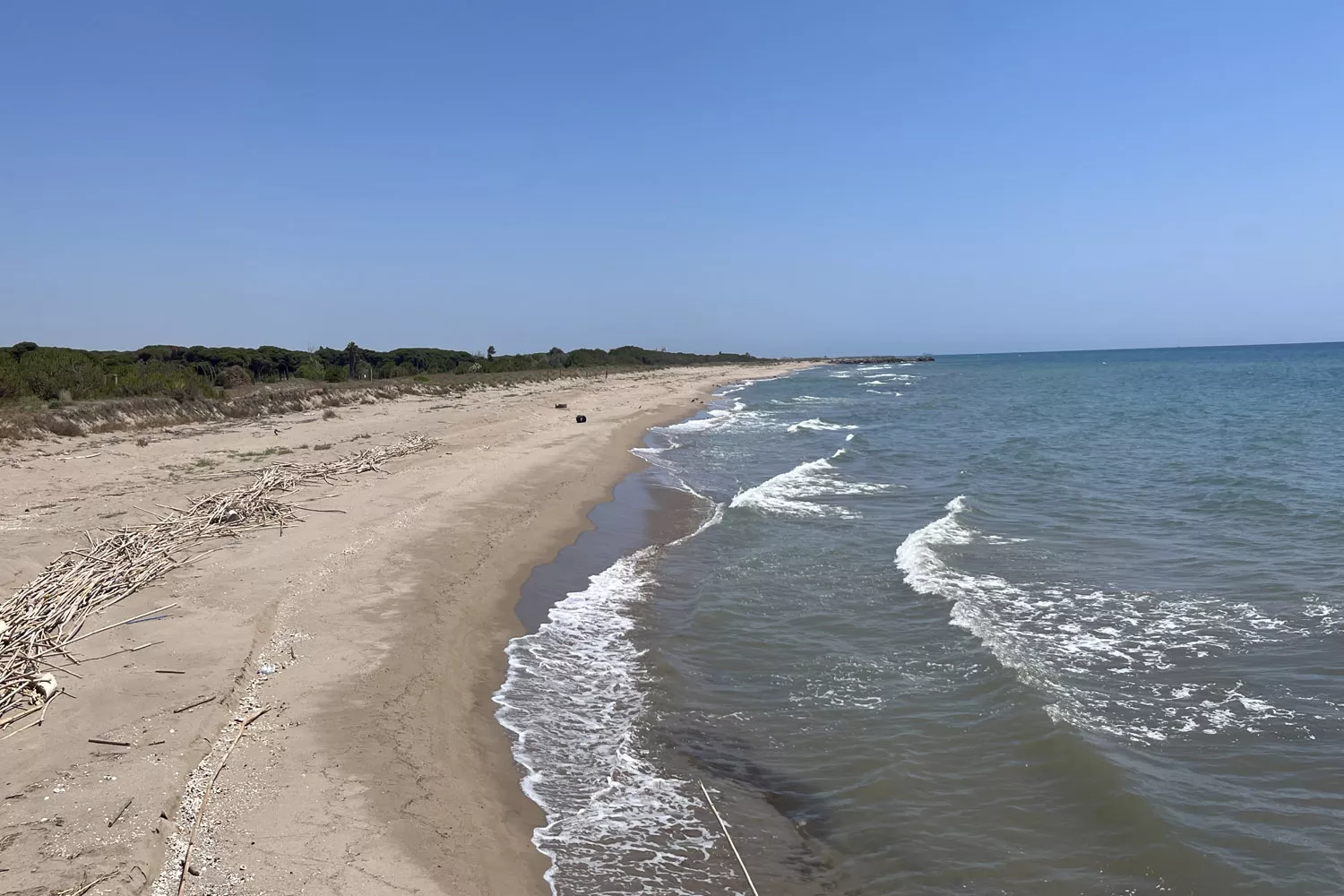 La playa virgen del Remolar, a 10 minutos en coche de Barcelona / TEO CAMINO La playa virgen del Remolar, a 10 minutos en coche de Barcelona / TEO CAMINO