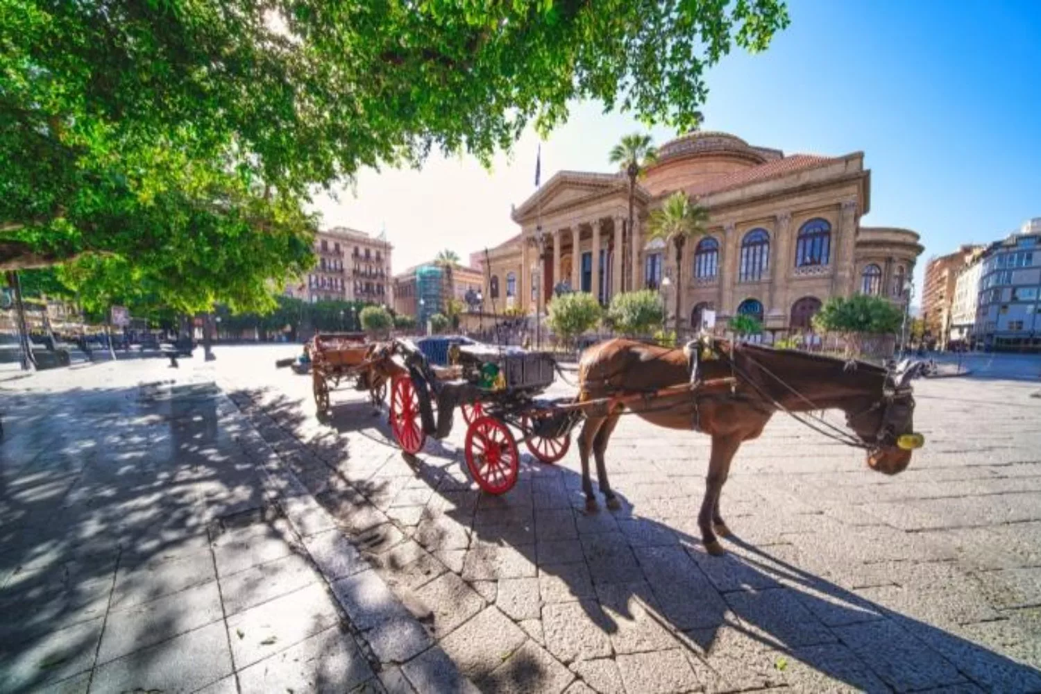Uno de los coches de caballos que serán prohibidos en Palermo / FAADA