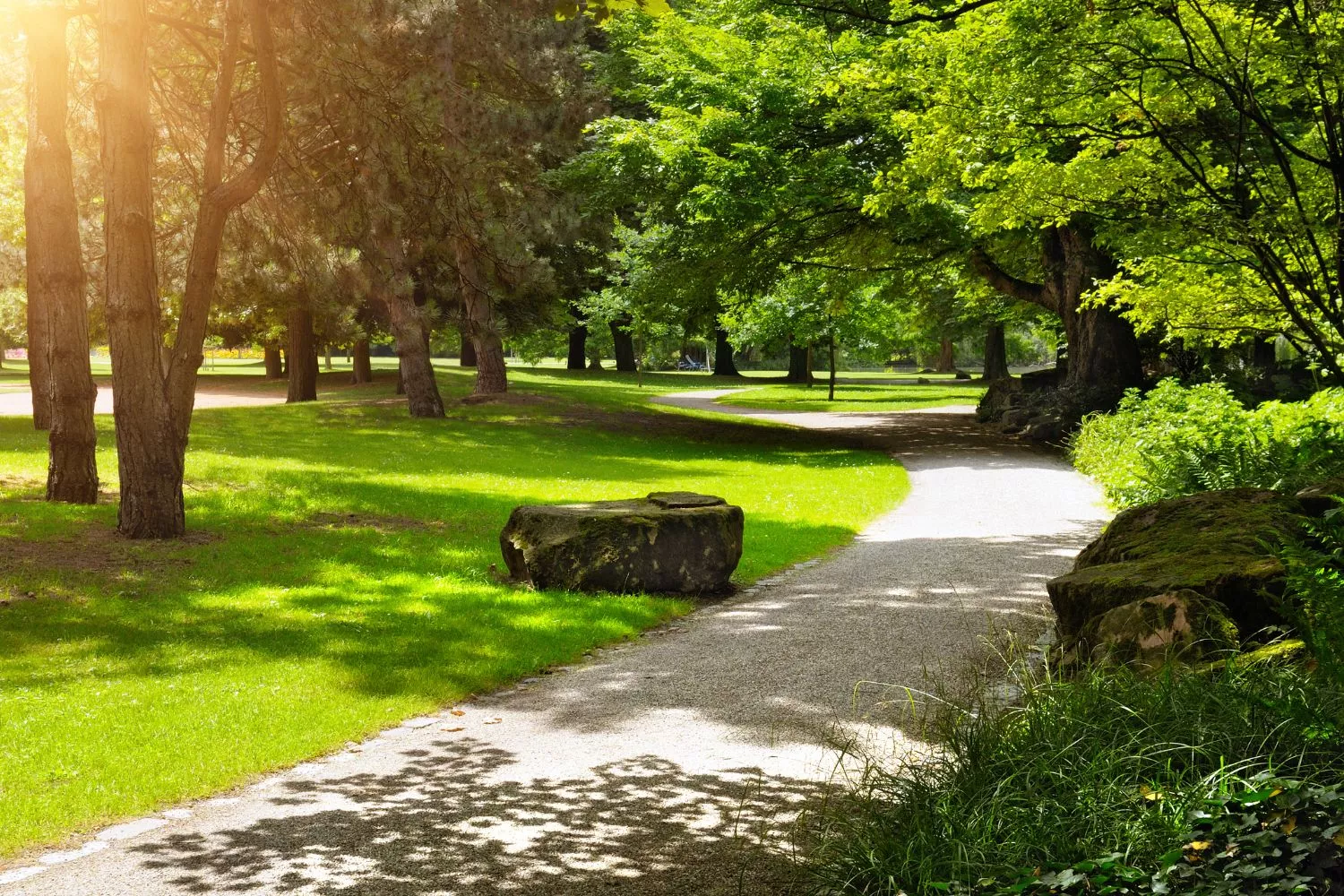 Un parque al aire libre este verano dónde practicar deporte/ CANVA