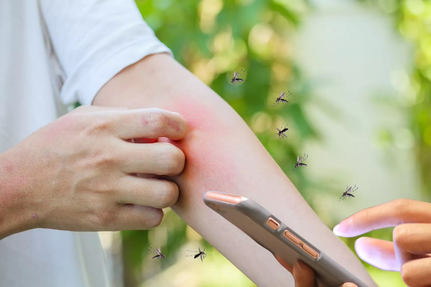 Una persona que conoce la forma más eficaz de ahuyentar los mosquitos con su móvil / Montaje CONSUMIDOR GLOBAL