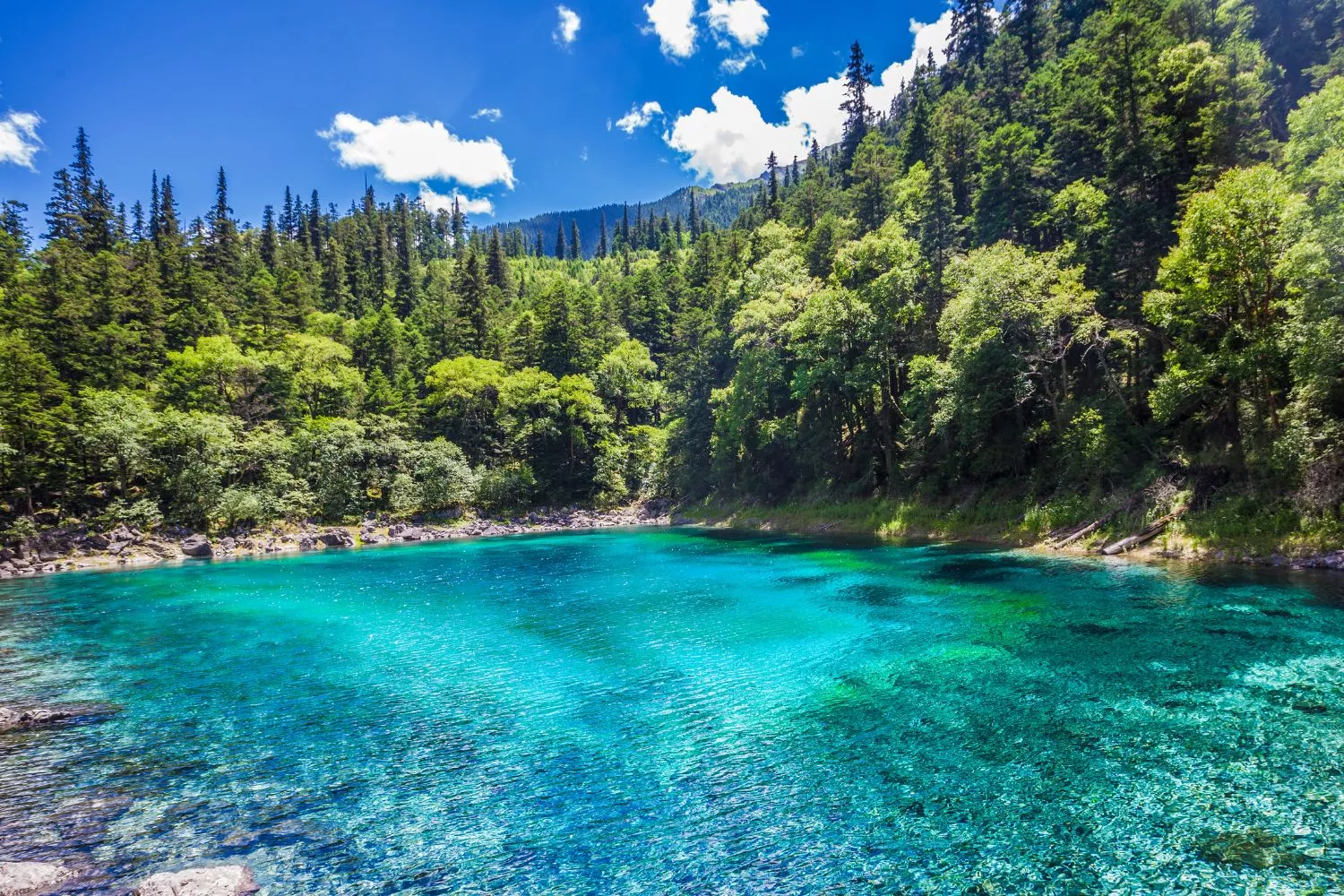 Uno de los lagos más populares de España para descubrir este verano/ CANVA Uno de los lagos más populares de España para descubrir este verano/ CANVA