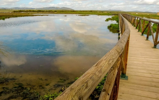 Laguna de Fuente de Piedra (Málaga)/ wastemagazine.es Laguna de Fuente de Piedra (Málaga)/ wastemagazine.es