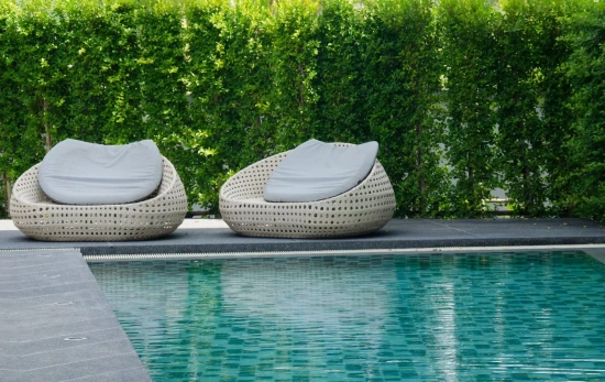 Una piscina de un jardín privado/ CANVA Una piscina de un jardín privado/ CANVA