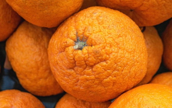Unas naranjas muy maduras/ CANVA Unas naranjas muy maduras/ CANVA