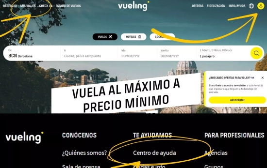 Interfaz de Vueling con los puntos de interés para reclamaciones señalados/ VUELING Interfaz de Vueling con los puntos de interés para reclamaciones señalados/ VUELING