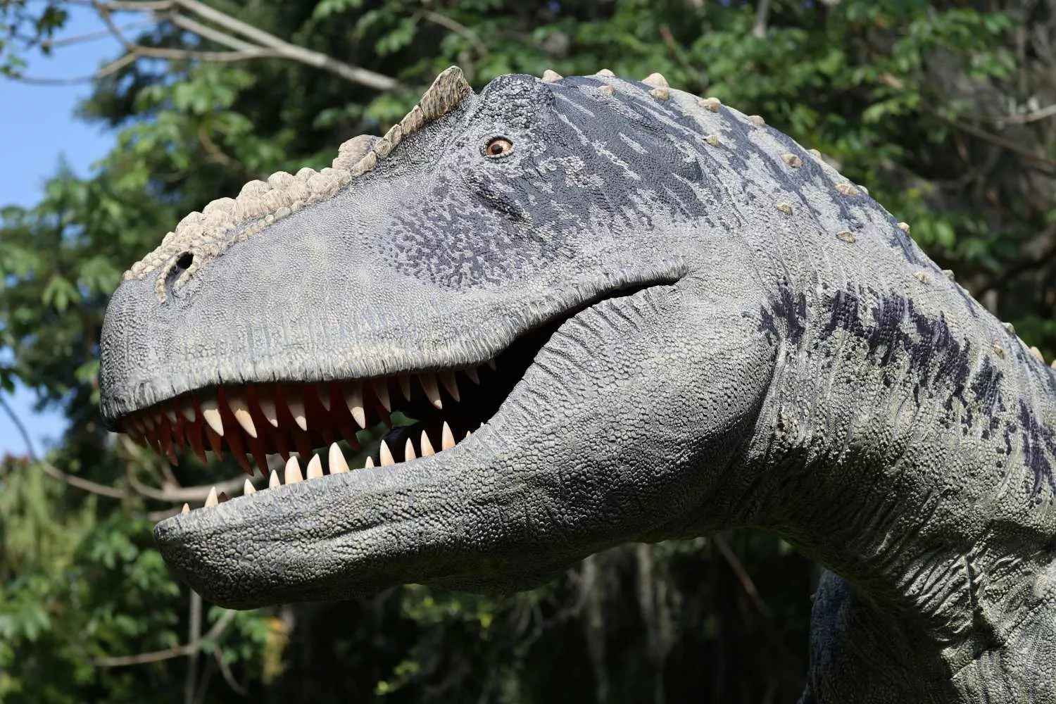 Réplica de uno de los dinosaurios más conocidos / UNSPLASH